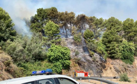 El incendio en un vehículo en la carretera de acceso a Ojén se extiende al monte