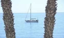 Buen octubre turístico en Marbella con más visitantes y pernoctaciones