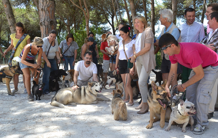 El mayor parque para perros de Andalucía ya está listo en Marbella - LOCAL