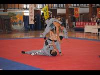 Campeonato nacional de Artes Marciales Chinas