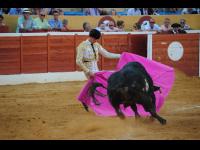 Toros en Marbella con El Fandi, Juan Bautista y David Galván