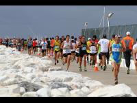 XXVIII Media Maratón Ciudad de Marbella (III)