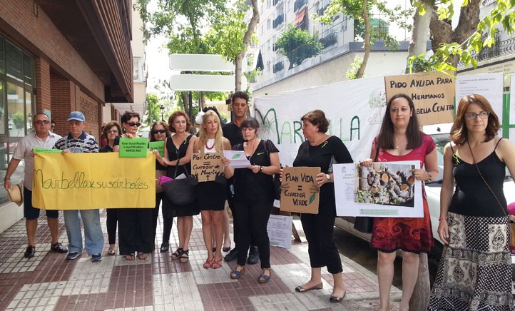 "Marbella por sus árboles" alerta de la tala inminente en Alonso de Bazán