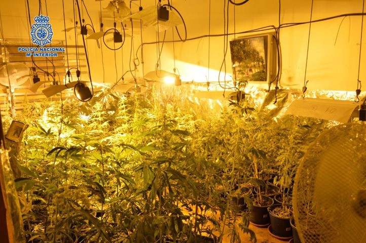 La Policía desmantela dos centros de cultivo de marihuana en Marbella