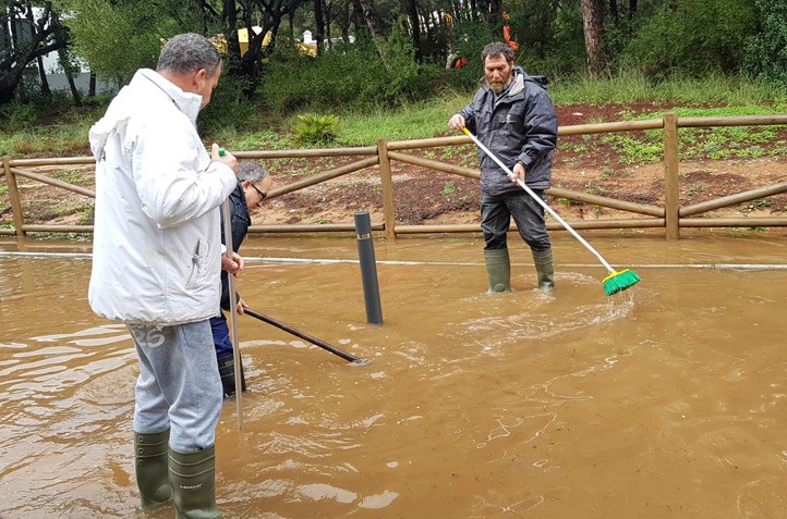 El Plan de Emergencias coordinó en Marbella 300 actuaciones en 24 horas