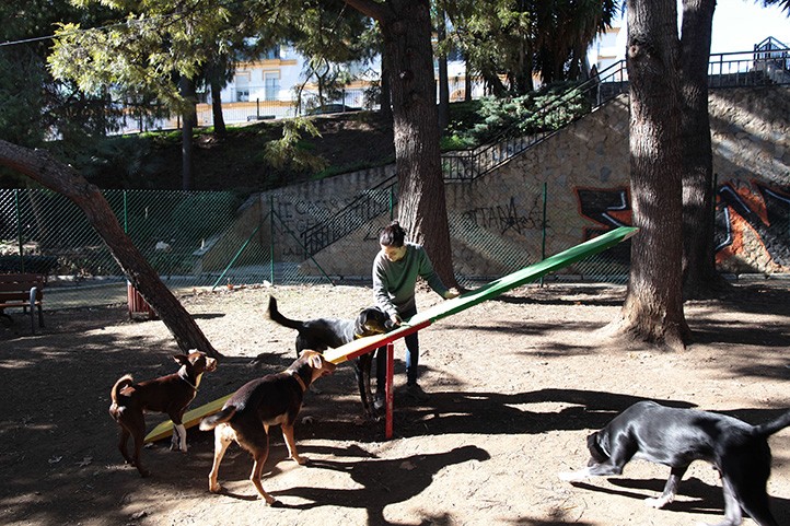Marbella amplía su oferta para mascotas con cuatro nuevos parques caninos
