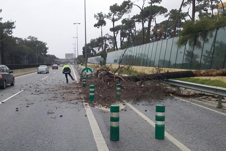 Marbella registra la segunda racha de viento más fuerte en toda España