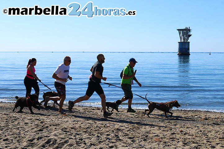 Dueños y perros disfrutan de la atractiva EspartanCan en Marbella
