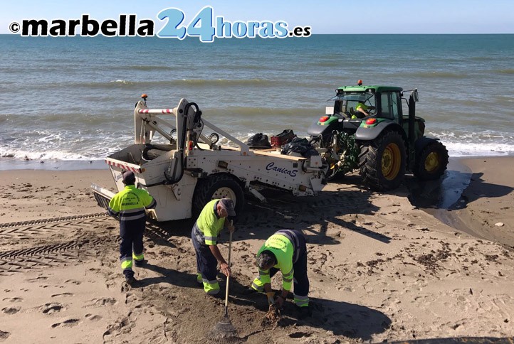 El temporal deja 100 litros de lluvia en Marbella y más daños en las playas