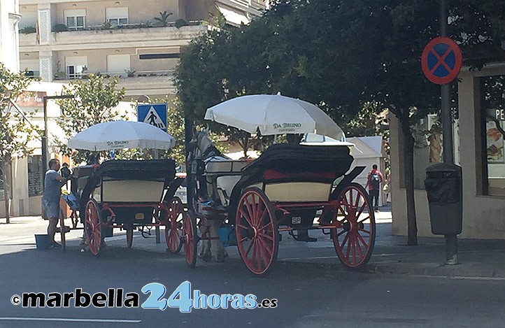 Marbella regula el uso de los coches de caballos para cuidar de los animales