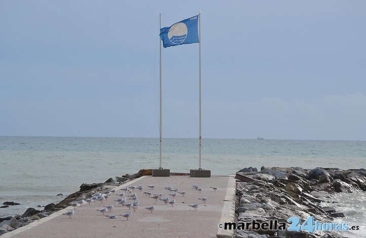 Las borrasca "Ana" deja en Marbella rachas de viento de 83 km por hora