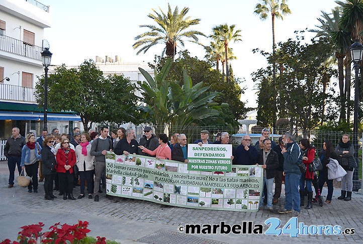 Movilización ciudadana para salvar las palmeras de Marqués del Duero