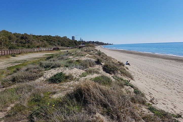 El Ayuntamiento pide la inclusión del Pinillo en la reserva dunar de Marbella