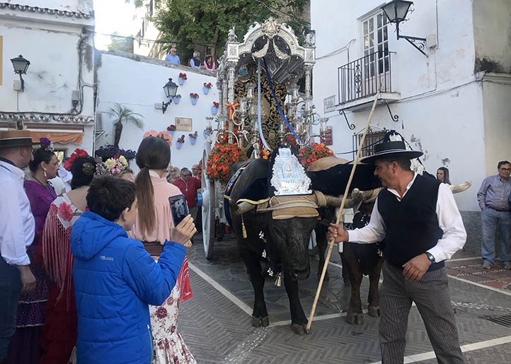 La Hermandad de Marbella inicia su camino hacia la aldea de El Rocío
