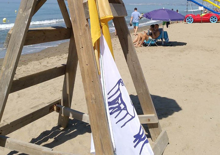El PSOE exige medidas contras las medusas en las playas de Marbella