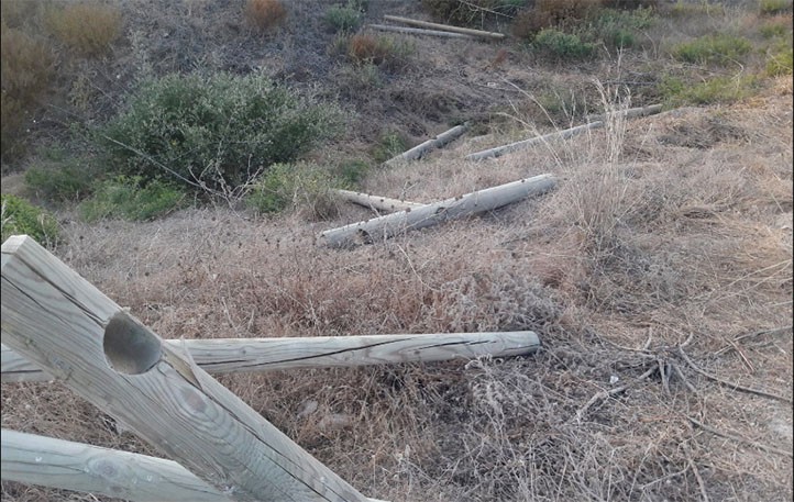 Vecinos denuncian el abandono en las dunas de Real de Zaragoza