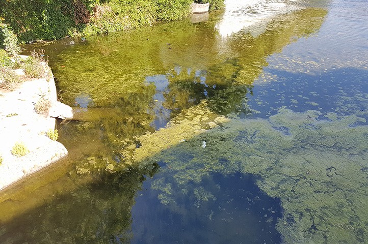 Acción Vecinal San Pedro denuncia el "abandono" de El Salto del Agua