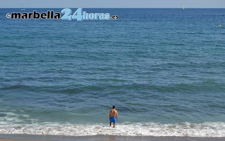 Las playas de Marbella siguen llenas de medusas y hay zonas cerradas al baño