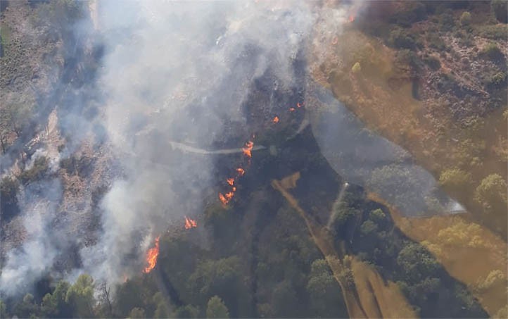 Declarado un incendio forestal en el paraje de La Montúa en Marbella