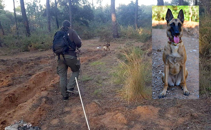 La unidad canina de Protección Civil localiza a un anciano desaparecido
