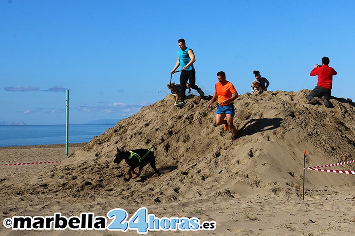 Marbella volverá a acoger en El Cable la carrera de mascotas Spartancan