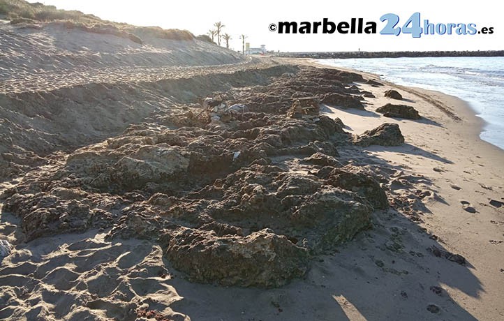 Lamentable estado de playas de Marbella en el inicio de Semana Santa