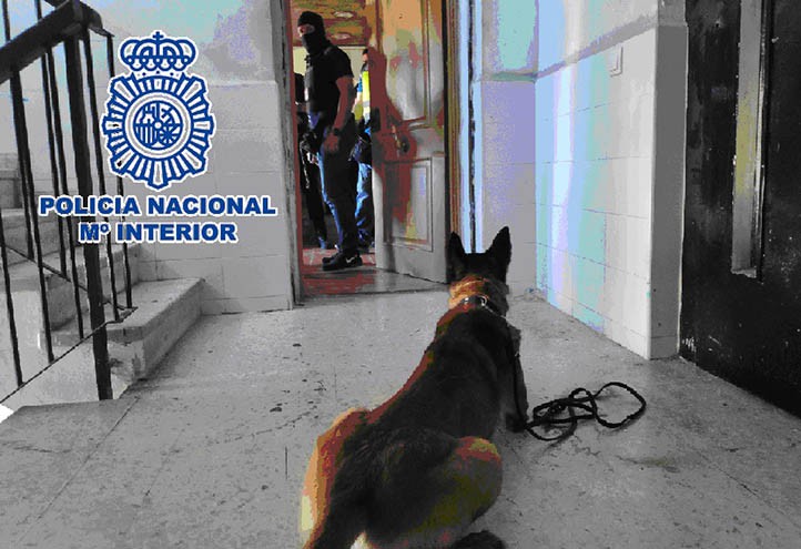 Golpe policial contra el tráfico de drogas en Marbella con 41 detenidos