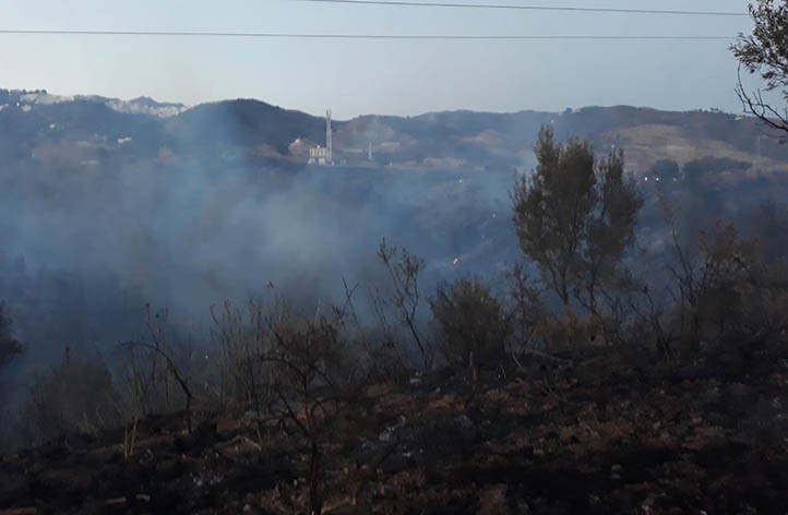 Controlado el incendio que se declaró en Marbella en la zona de Los Monteros