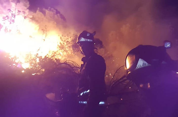 Bomberos de Marbella colaboran en el incendio declarado en Benahavís