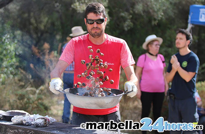 El recuerdo a los difuntos y el Tostón centran el viernes festivo en Marbella