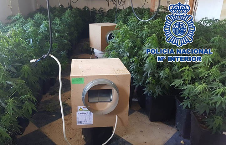 Desmantelan una plantación de marihuana en una vivienda de Marbella