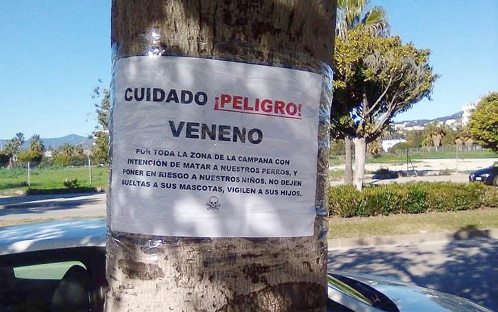 Alertan de veneno que puede dañar a mascotas y niños en La Campana