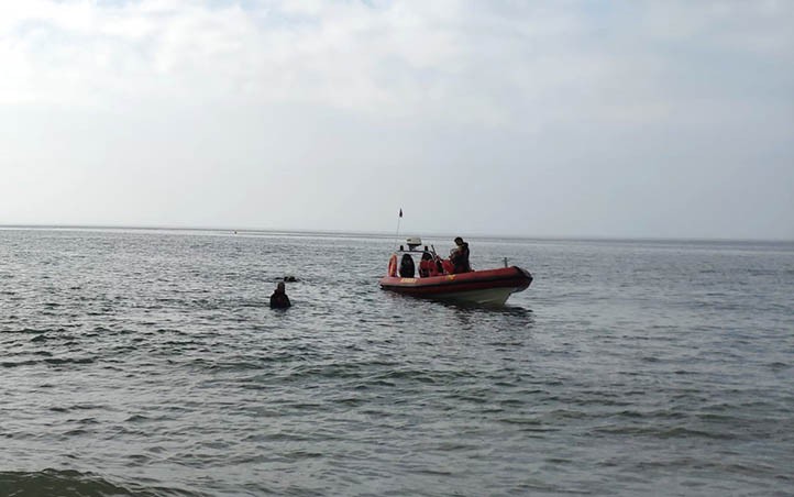 Bomberos retiran un contenedor hundido frente a una playa de Marbella