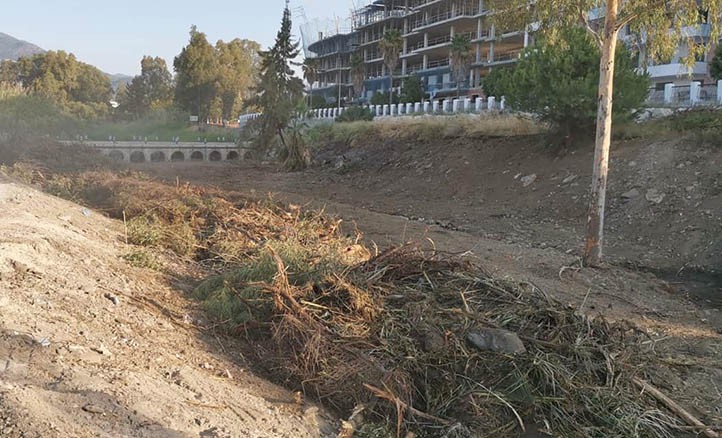 Denuncian la destrucción del bosque de ribera del río Guadaiza en San Pedro