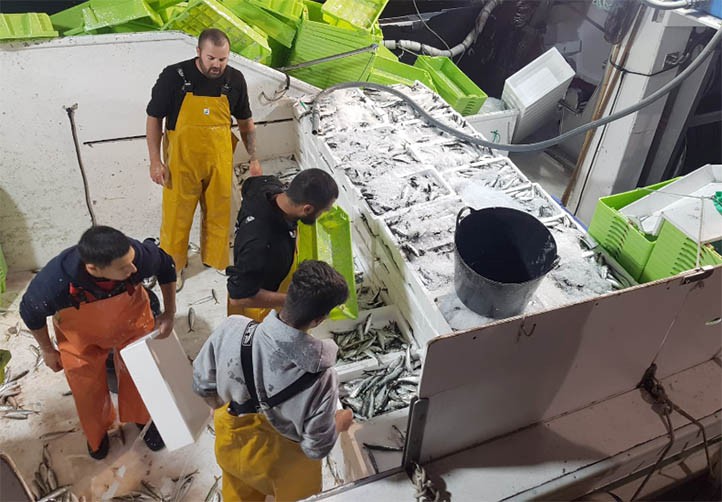 La flota de cerco de Marbella afronta la primera parada biológica del año