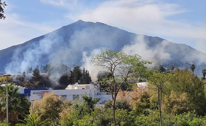 Sofocado un incendio en las cercanías de la ITV de San Pedro Alcántara