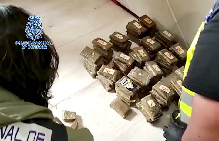 Desmantelan en Marbella y Ojén una red de tráfico de marihuana y hachís