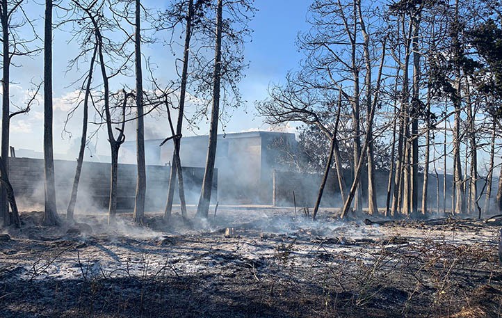 Extinguido el incendio junto al Centro La Colonia en San Pedro Alcántara