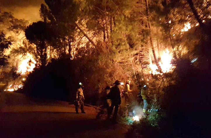 Bomberos de Marbella se suman a la extinción del incendio en Sierra Bermeja