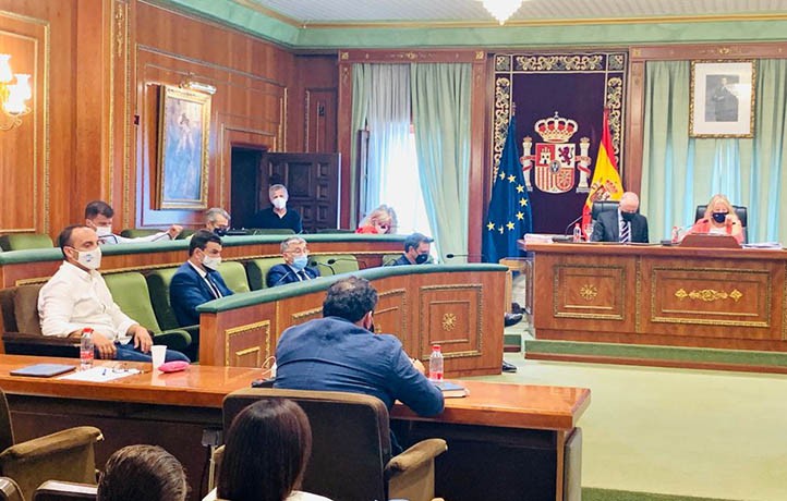 El PP rechaza ampliar las ayudas municipales a las pymes de Marbella