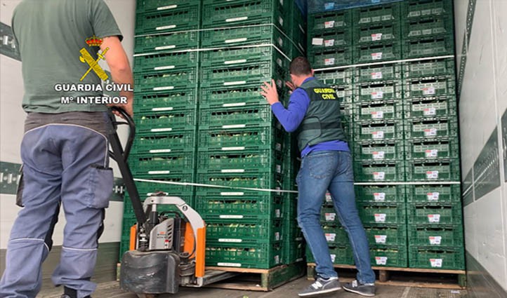 Cae una red que transportaba droga de Málaga a Europa oculta entre verdura 