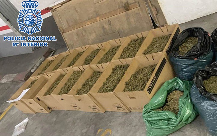 Desmantelan en Marbella una villa de lujo utilizada para cultivar marihuana