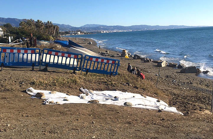 Analizan restos arqueológicos en San Pedro donde se proyecta un chiringuito