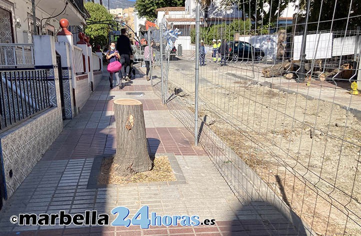 Convocan una protesta este viernes contra la tala de árboles en Marbella