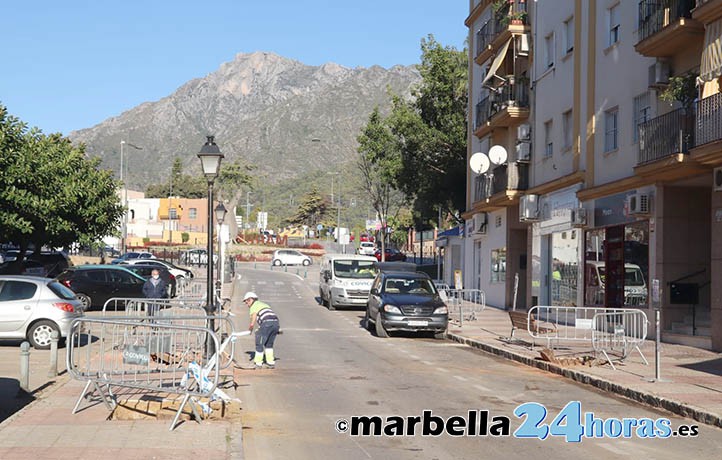 Continúa la tala de árboles en la avenida del Trapiche de Marbella