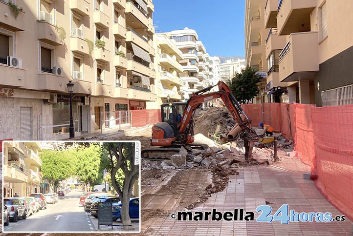 Talan la mayor parte de los árboles en la calle Virgen del Pilar de Marbella