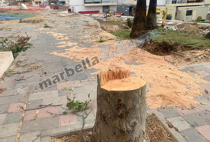 Nueva tala de árboles en Marbella: las motosierras llegan a la calle Doha