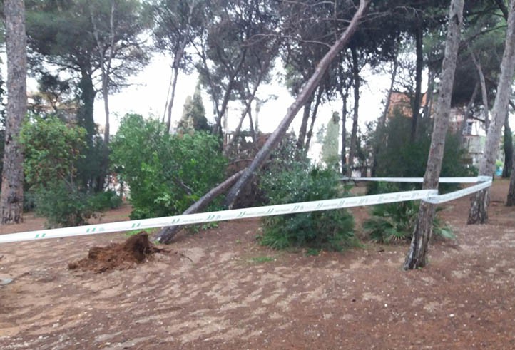 Tras dos semanas de alertas, Marbella cierra ahora dos parques