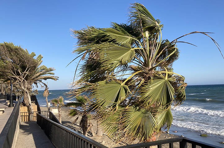 Nuevas alertas amarillas en la Costa del Sol por fuertes vientos y oleaje