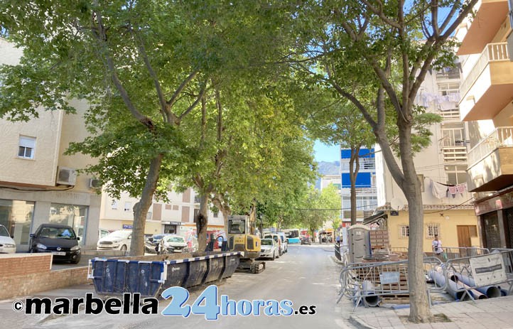 Muñoz anuncia más talas en Marbella: "los árboles tienen una vida útil"